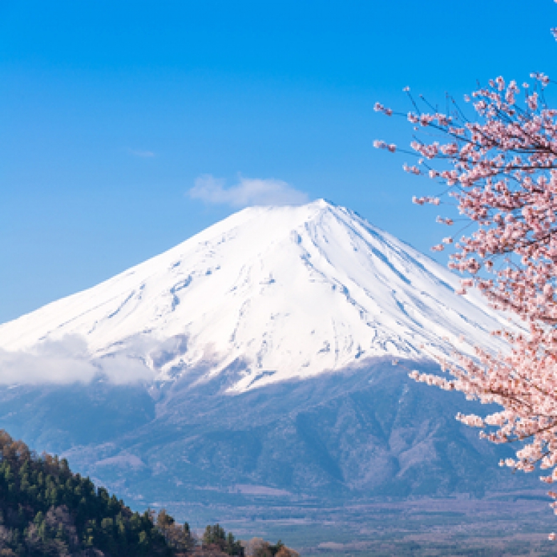 Fuji Mountain → Central Region (B/L)